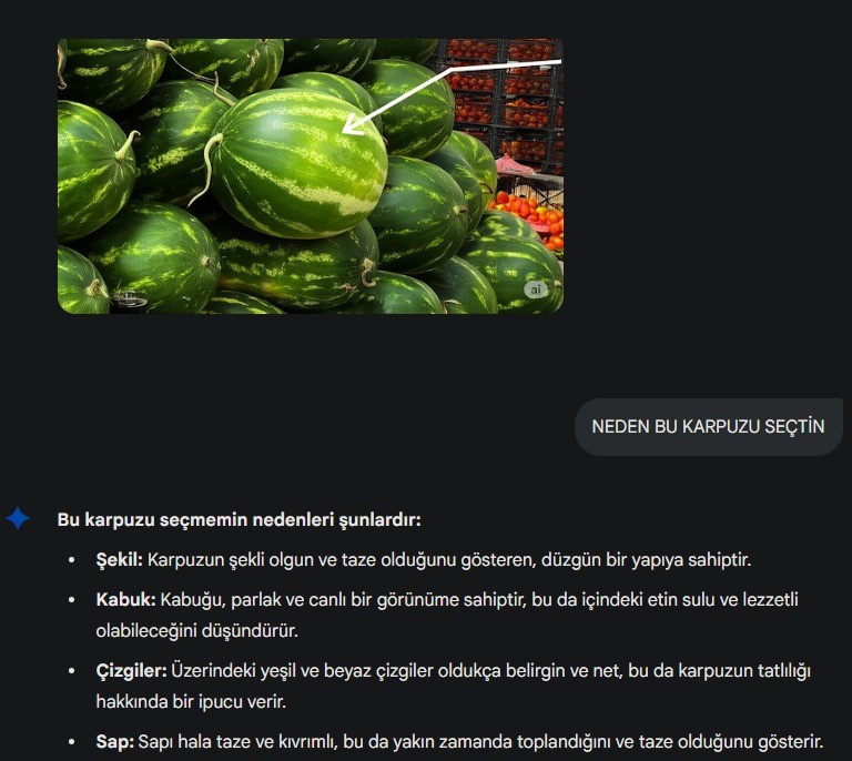 img-4493.jpeg