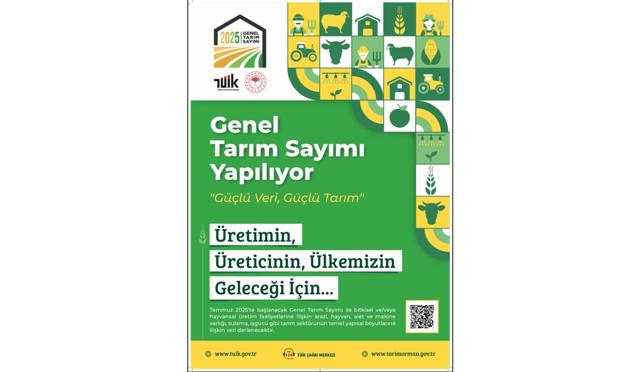 7400febb-07e7-4350-a2be-f86d98b838bb.jpg