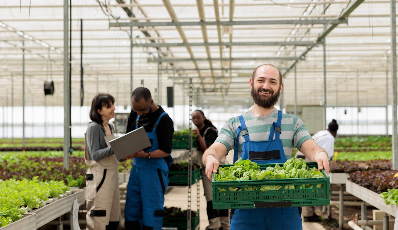 busy-group-farmers-modern-entrepreneurial-bio-agricultural-greenhouse-used-growing-natural-healthy-eco-vegetables-regenerative-agriculture-using-pesticide-free-soil-fertilizer.jpg