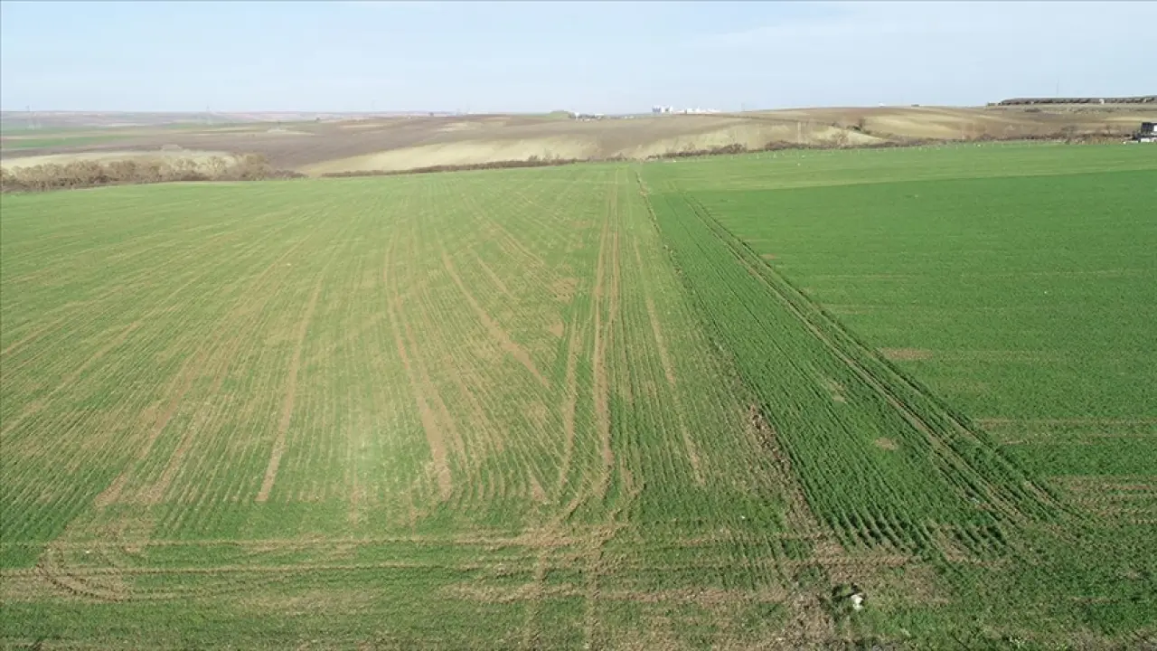 Ev ve arsa satanlara 1 Mart uyarısı 3