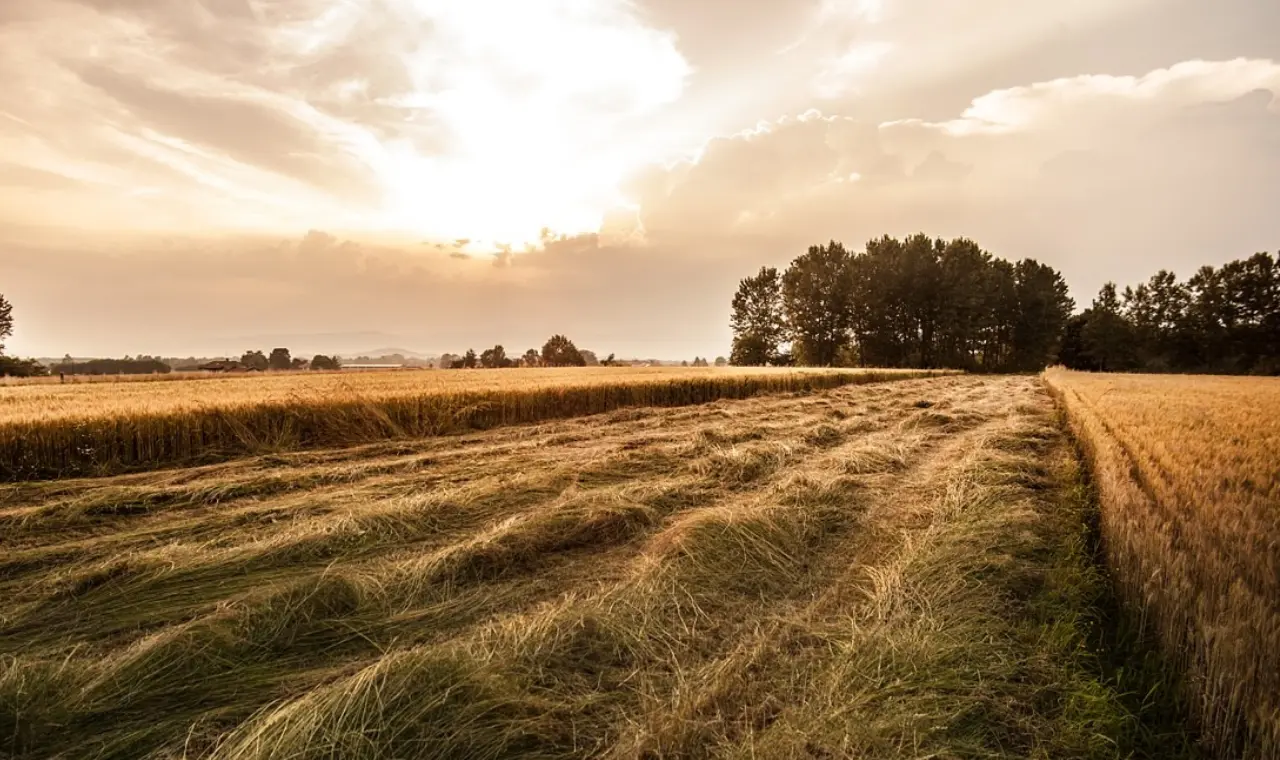 110 bin tapu sahibine büyük müjde 3