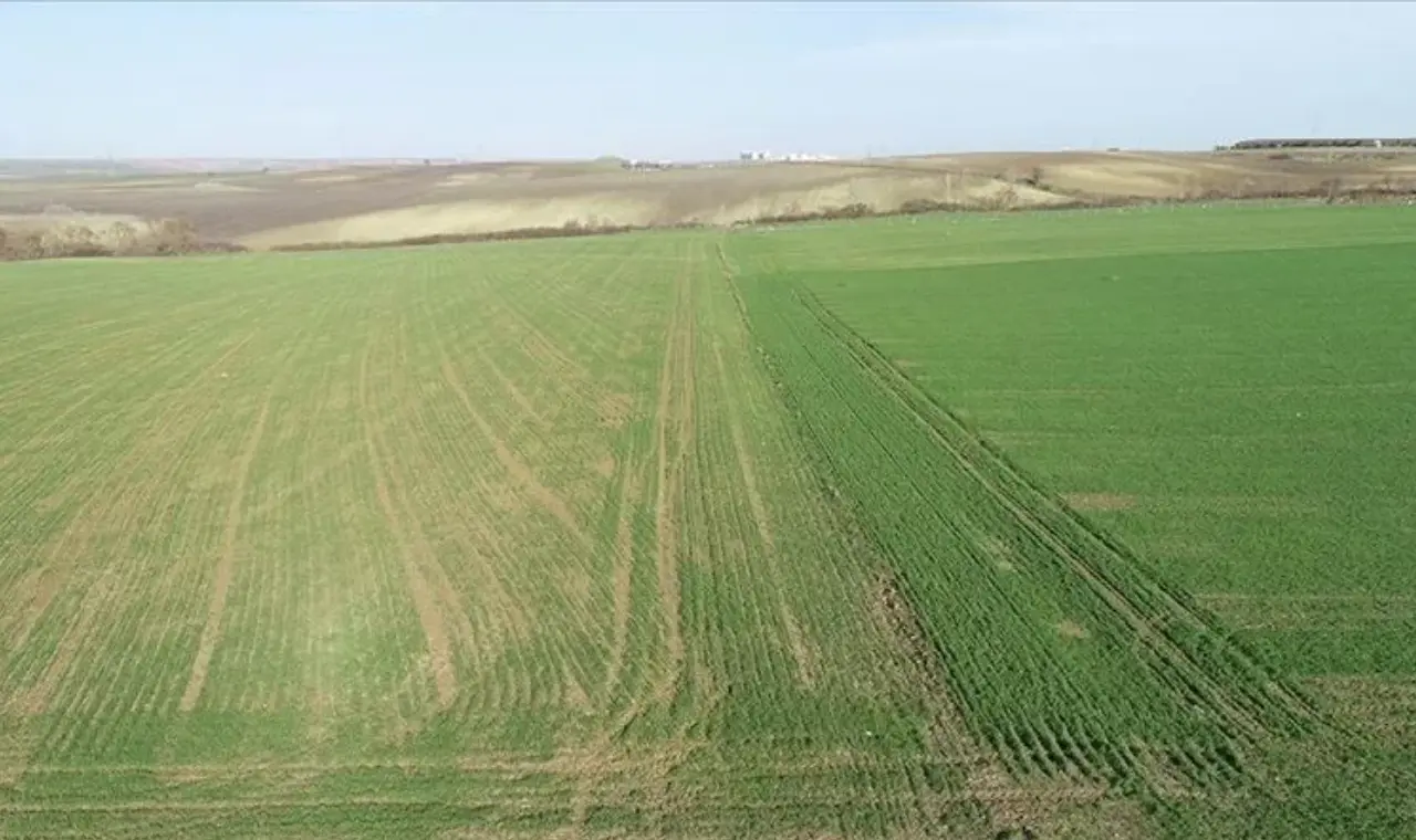 110 bin tapu sahibine büyük müjde 1