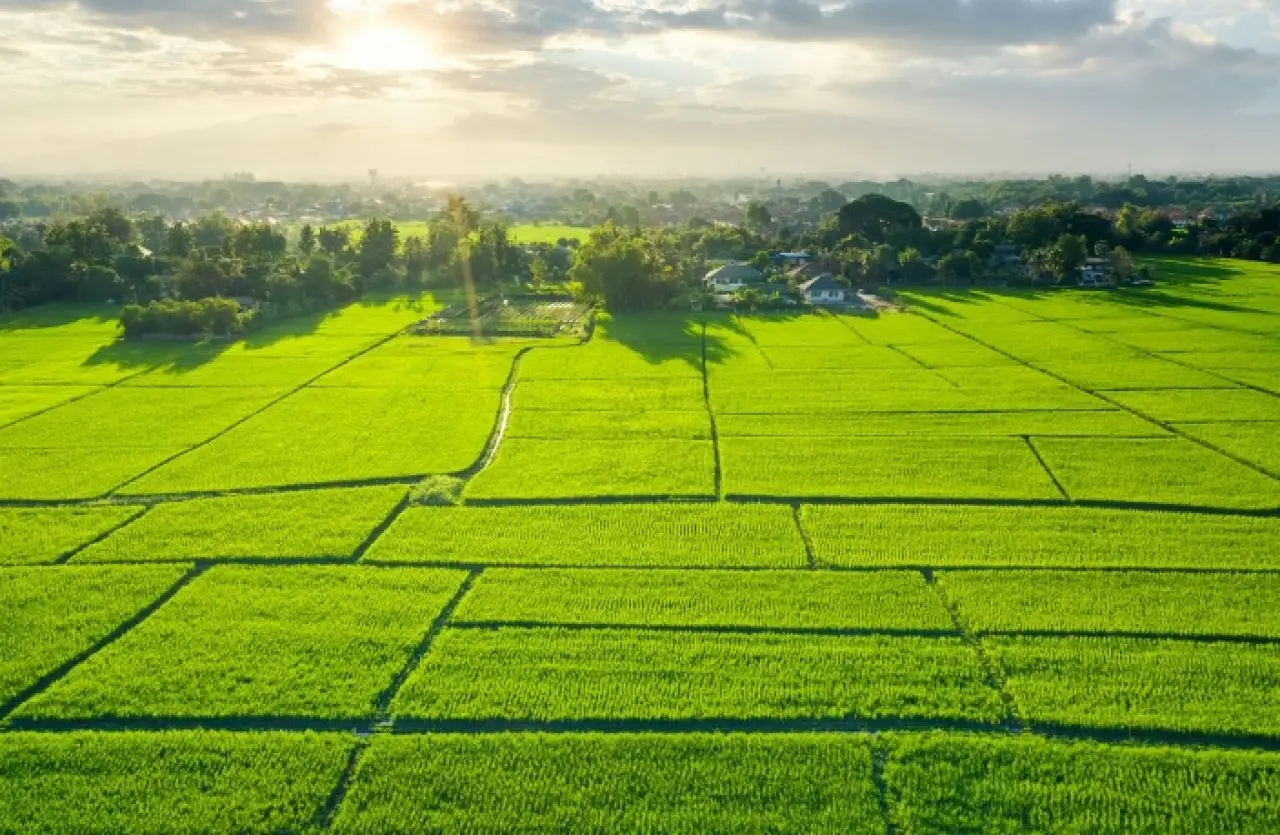Tarlasına o sistemi kuranlara 10 milyon liralık can suyu 4